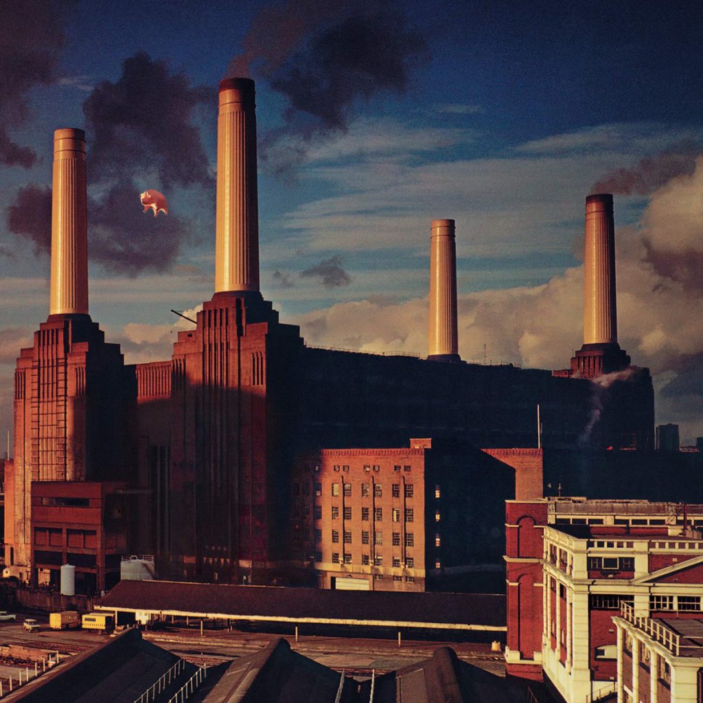 La Portada de Animals
